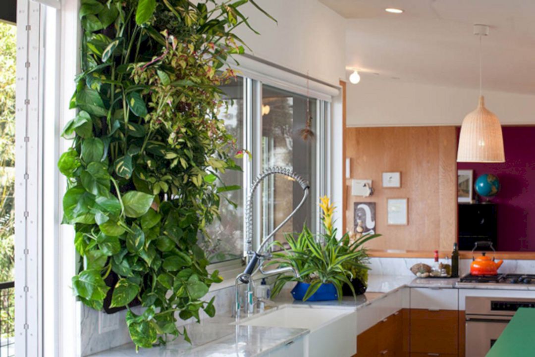 8 Pretty Kitchen With Wall Plants Design Ideas You Must Have