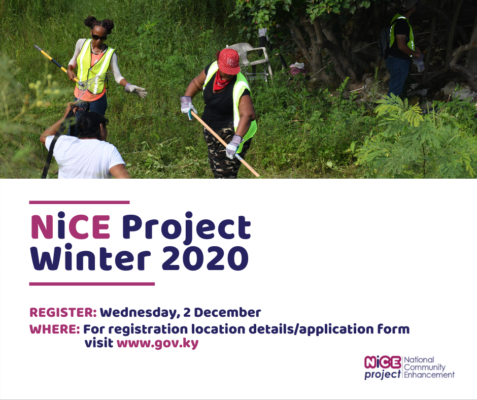 Register for NiCE Winter 2020 Project