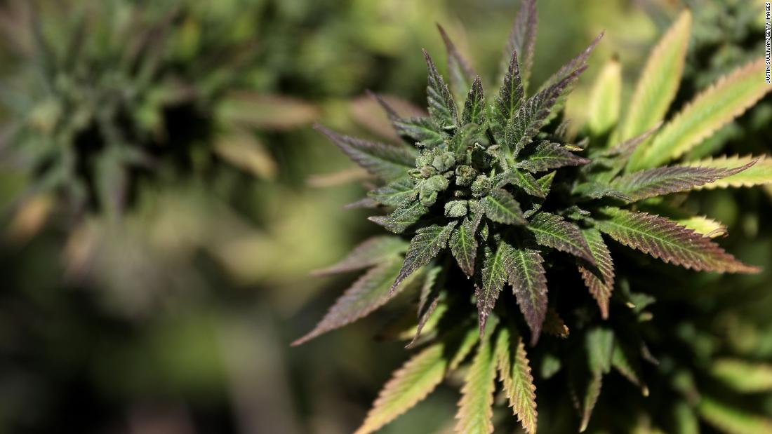 U.S. Congress passes bill decriminalizing marijuana at federal level