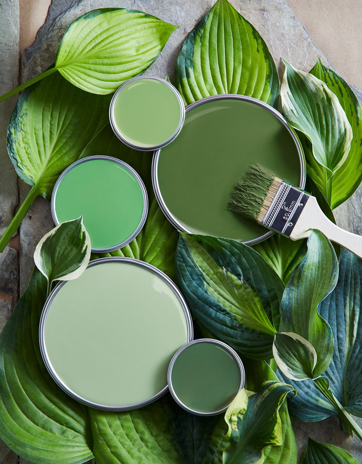 Why Green Is the Back-to-Nature Color We're Craving for 2020