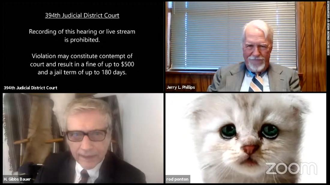 Lawyer tells judge 'I'm not a cat' after a Zoom filter mishap in virtual court hearing
