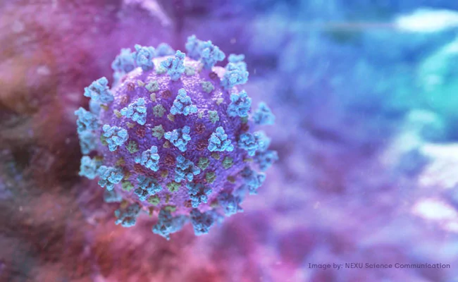 Chinese Scientists Discussed Weaponising Coronavirus In 2015