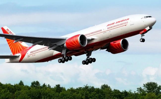 Air India Flight Returns Mid-Air To Delhi After Bat Found In Plane