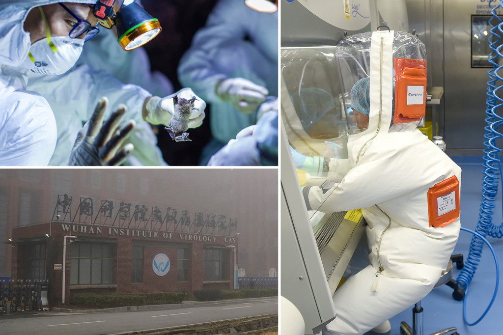 COVID origins report says it’s ‘plausible’ virus leaked from Wuhan lab