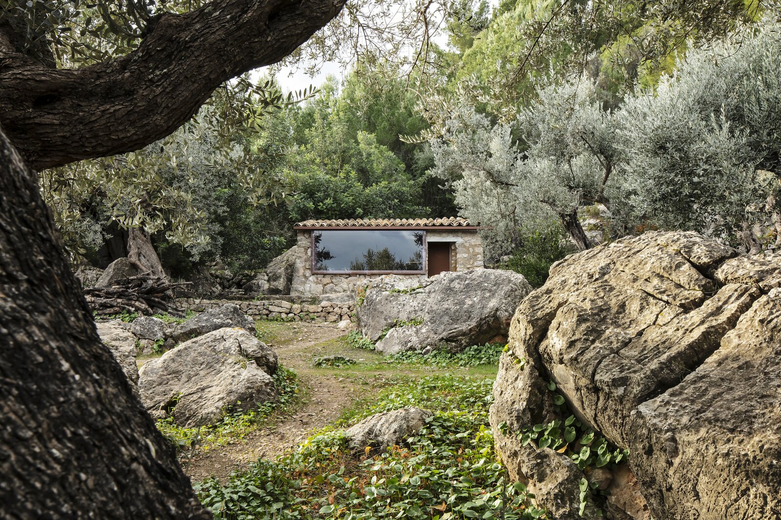 A Pair of Pink and Purple Tiny Houses Take Root in an Idyllic Olive Grove