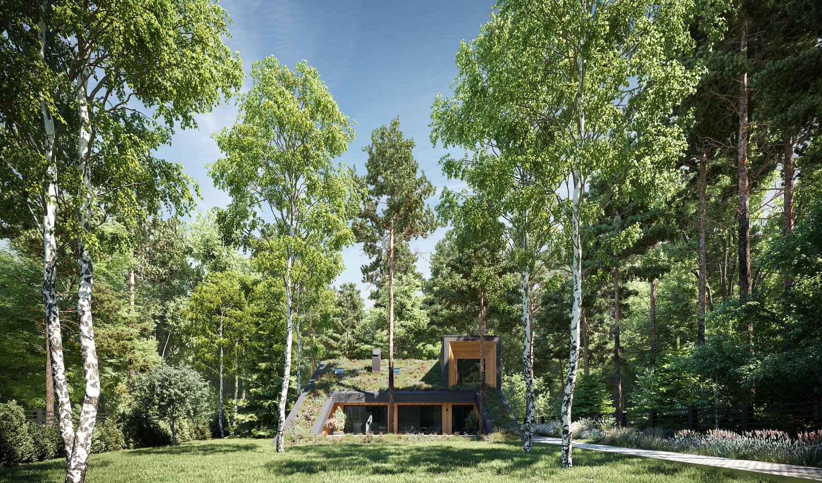 A Passive House on the Outskirts of Moscow Blends Into Its Forested Surroundings