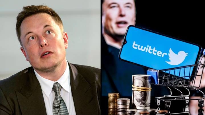 Musk puts Twitter takeover on hold