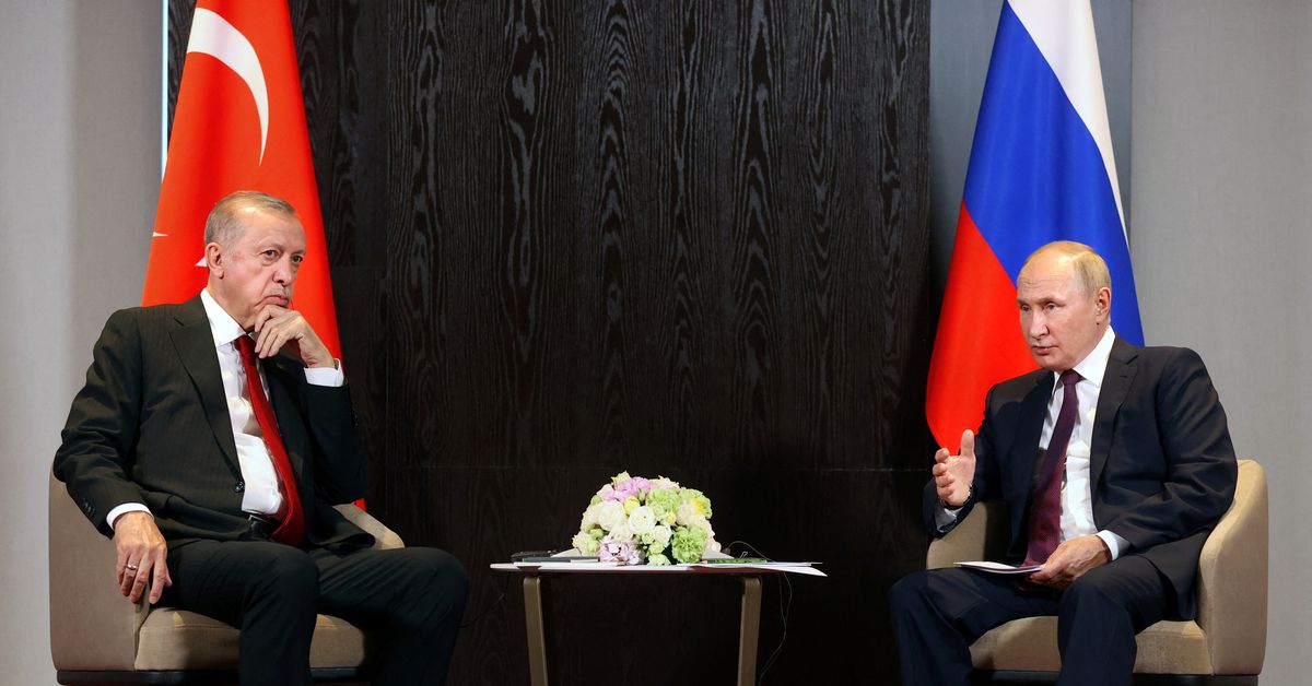 Putin: 25% of Russian gas supplies to Turkey will be paid for in roubles