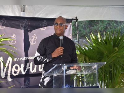 Burden I carry for BVI has cost me tremendously - Skelton Cline