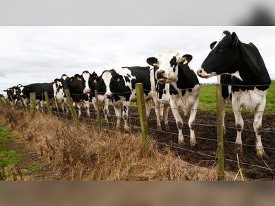 UK Farmers Concerned Over Cheaper, Lower Quality Imports Under New Trade Deal